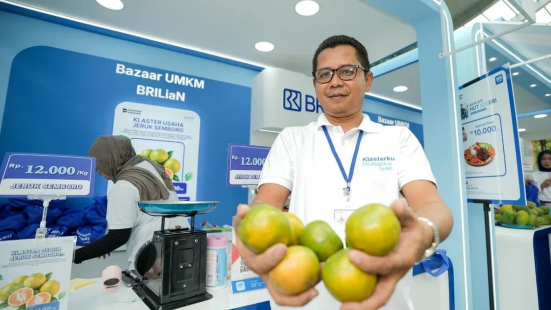 Petani Jeruk Jember Kembangkan Usaha Lewat Pembiayaan BRI