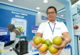 Petani Jeruk Jember Kembangkan Usaha Lewat Pembiayaan BRI