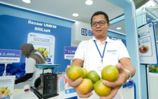 Petani Jeruk Jember Kembangkan Usaha Lewat Pembiayaan BRI