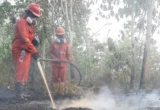 7 Provinsi Terdampak Karhutla Dapat Bantuan, Total Rp 1,23 Triliun