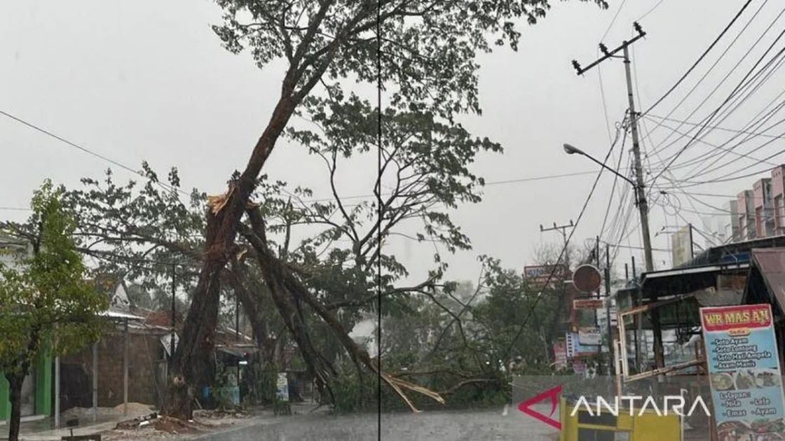 Hujan Guyur Banjarbaru Kalsel Usai Kemarau Panjang