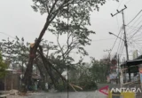 Hujan Guyur Banjarbaru Kalsel Usai Kemarau Panjang
