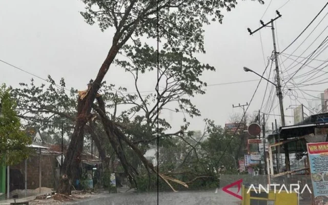 Hujan Guyur Banjarbaru Kalsel Usai Kemarau Panjang