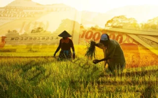 Daftar Negara dengan Harga Pangan Paling Bergejolak, RI Urutan Berapa?