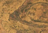 Penampakan Kawah Mirip Laba-laba Raksasa di Australia oleh NASA