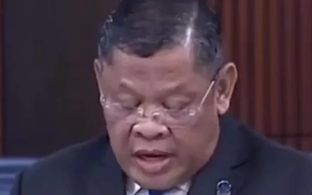 Anggota Parlemen Malaysia Sentil Karhutla Pakai Bahasa Jawa