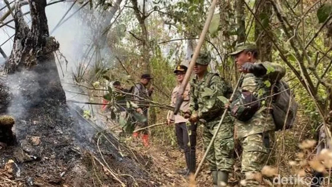 Karhutla Gunung Arjuno-Welirang Padam, Polisi Selidiki Penyebab