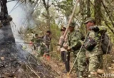 Karhutla Gunung Arjuno-Welirang Padam, Polisi Selidiki Penyebab