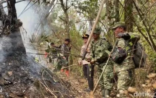 Karhutla Gunung Arjuno-Welirang Padam, Polisi Selidiki Penyebab
